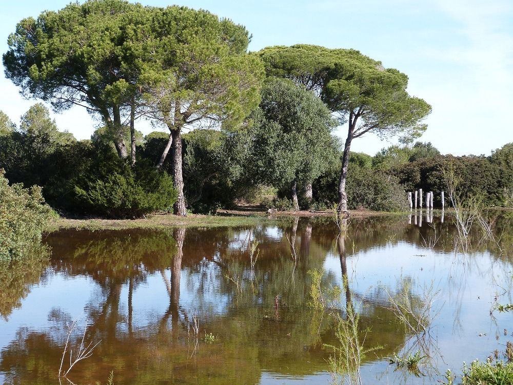 El Parque De Los Toru Os Inaugura El De Marzo El Circuito Permanente