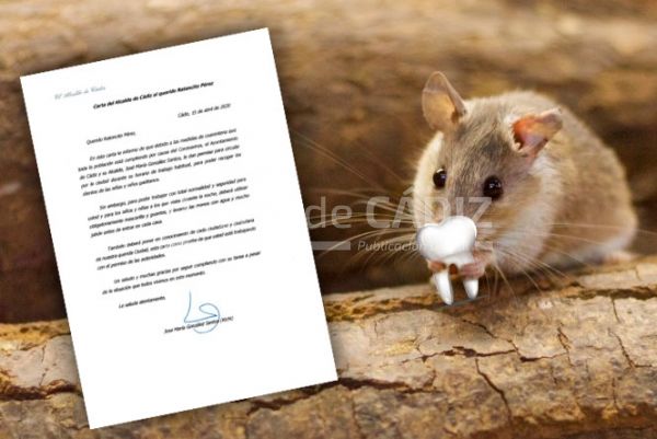 ratoncito perez carta