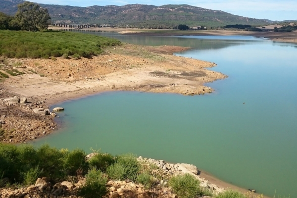 Cádiz en alerta por sequía: sólo el 30% de capacidad en los principales  embalses