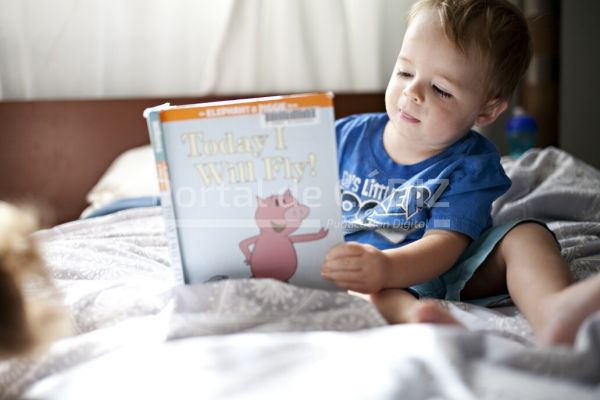 toddler boy reads a book on a bed in soft window light t20 x2kb98