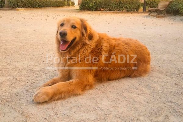 El parque para perros toma forma en Urbisur