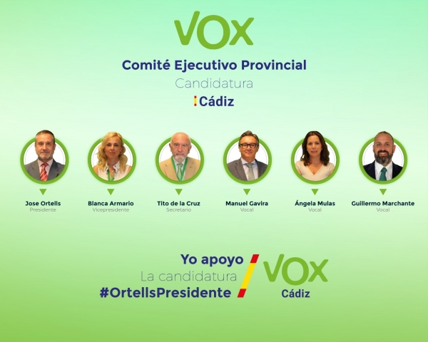 comite ejecutivo provincial vox