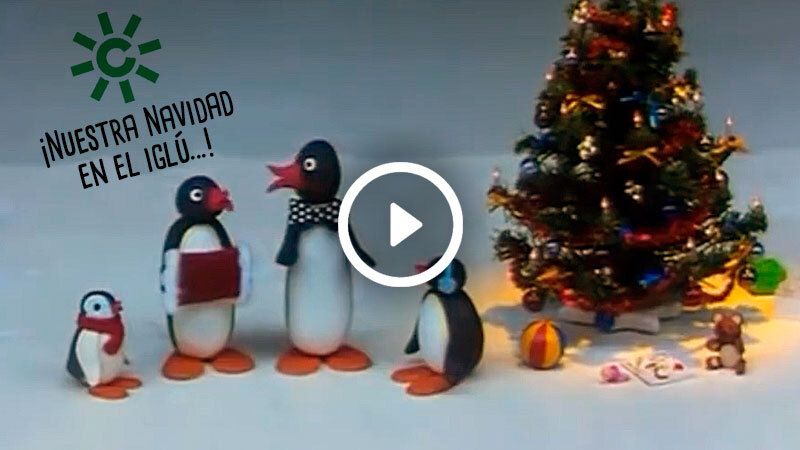 pingu andaluz