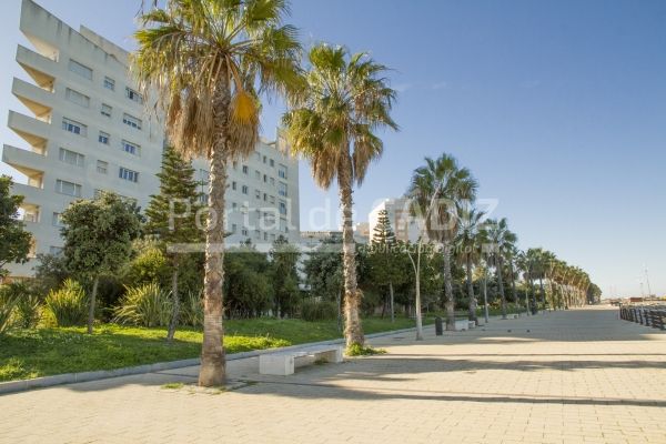 Plantan casi 110 árboles nuevos en Cádiz capital entre diciembre y enero