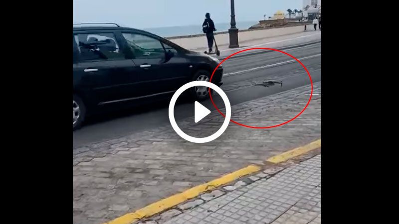 dron policialocalcadiz