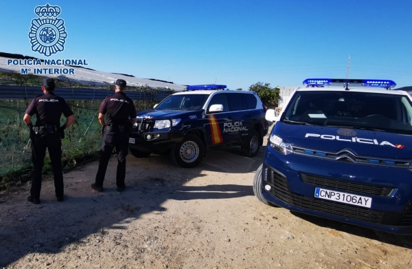 Encuentran un invernadero en la provincia de Cádiz hasta arriba de plantas  de marihuana