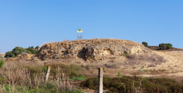 El PSOE pide a la Junta que compre los terrenos del yacimiento arqueológico  de Asta Regia