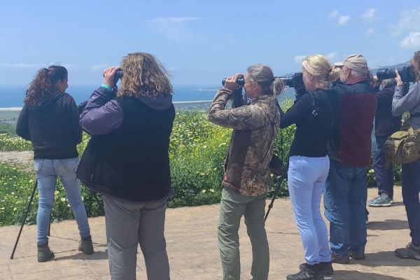 Días y horas de las observaciones gratuitas de aves migratorias y cetáceos  desde Tarifa