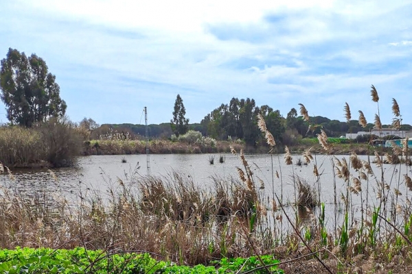 La Laguna de Bonanza de Sanlúcar será incluida en el ...