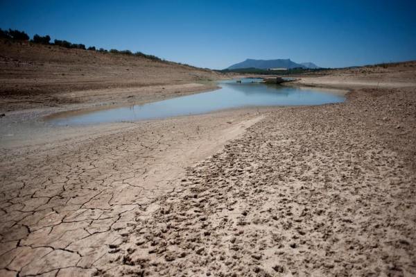 Alerta por sequía en Puerto Serrano: preocupante descenso en el nivel de  los pozos