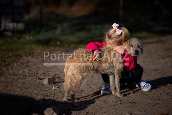 a child with a dog in nature girl playing with a 2022 11 09 07 53 36 utc