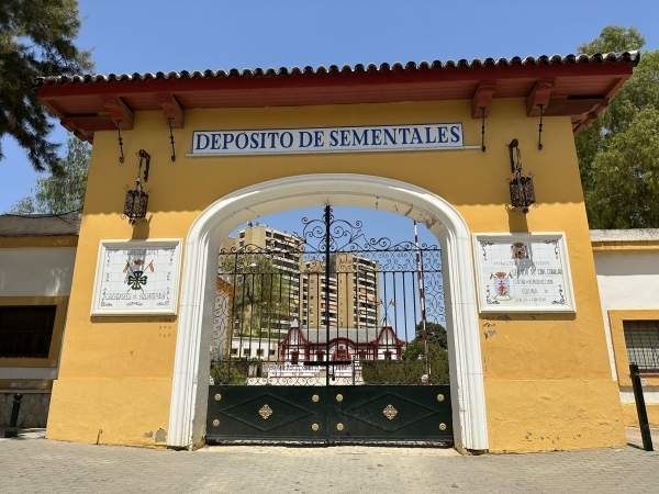 Inicio de la transformación del Depósito de Sementales de Jerez en centro  ecuestre de referencia