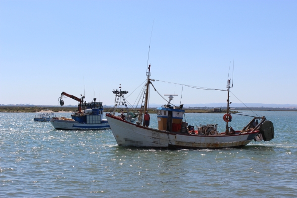 Al rescate de los pescadores! La flota de Cádiz recibirá casi un millón de  euros en ayudas