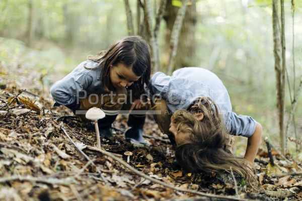 two kids examining mushroom in the forest 2022 12 16 22 42 45 utc