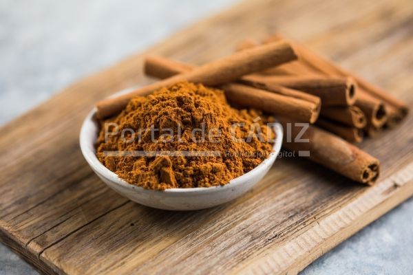 cinnamon sticks and powder cinnamon in the bowl on 2022 11 02 00 00 55 utc