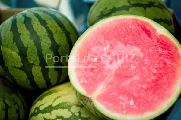 close up view of half of watermelon and watermelon 2022 12 16 16 24 47 utc