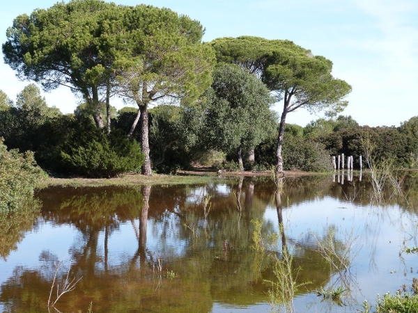 parque de los tournos