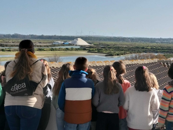 visita salinas de chiclana 2