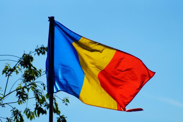 a romanian flag in an allotment garden 2023 11 27 05 21 35 utc