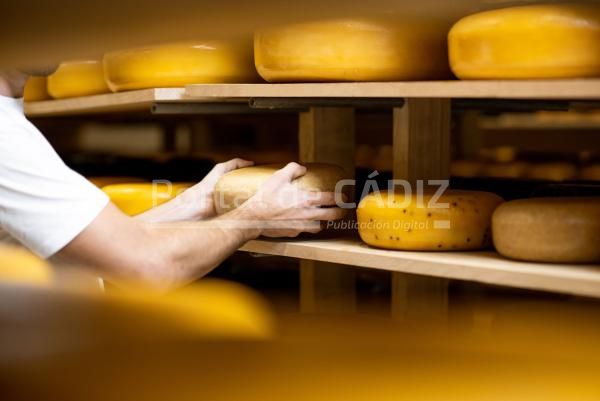 cheese maker at the cheese storage 2021 12 09 02 08 36 utc