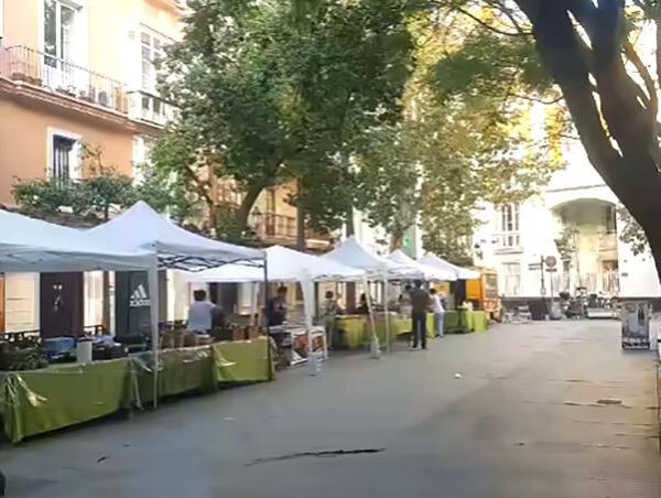 ecomercado plazademina