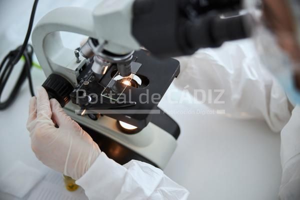 microbiologist observing a microscopic specimen un 2023 11 27 04 50 50 utc