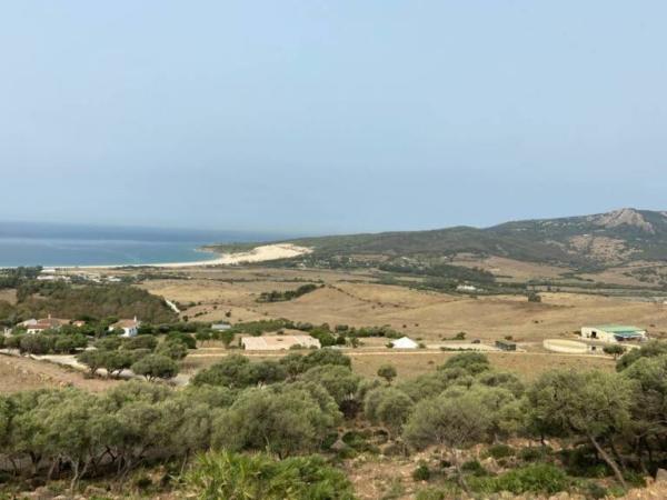 panoramica de la dehesa de las pinas en tarifa 1 768x576