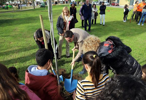 plantacion de arboles3