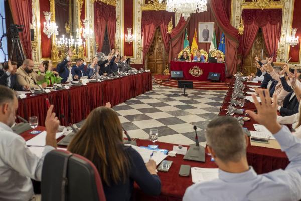 votacion en el pleno de la diputacion 1