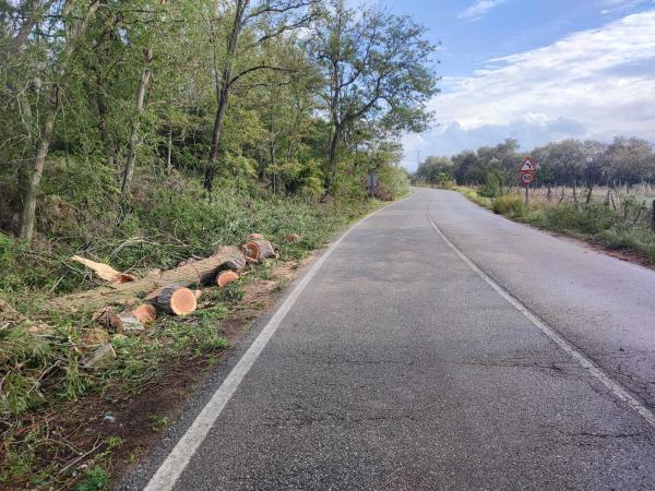 carretera limpia