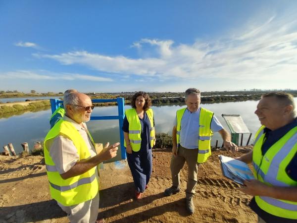 parque torunos obras