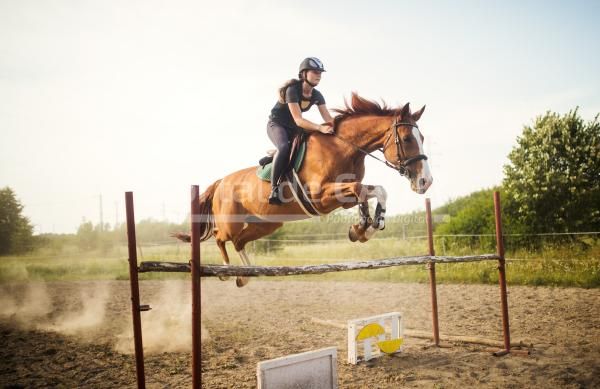 young female jockey on horse leaping over hurdle 2022 02 08 22 39 28 utc