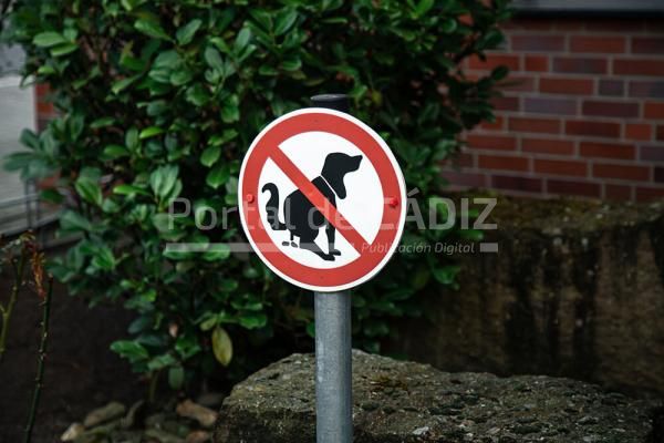 a sign no dog poop concept cleaning up dog dropp 2023 11 27 05 11 48 utc