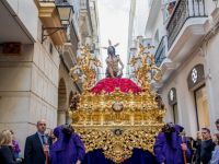 Humildad y Paciencia (Domingo de Ramos)