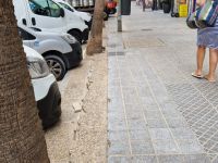 Desperfectos en Cádiz (01/09/2023)